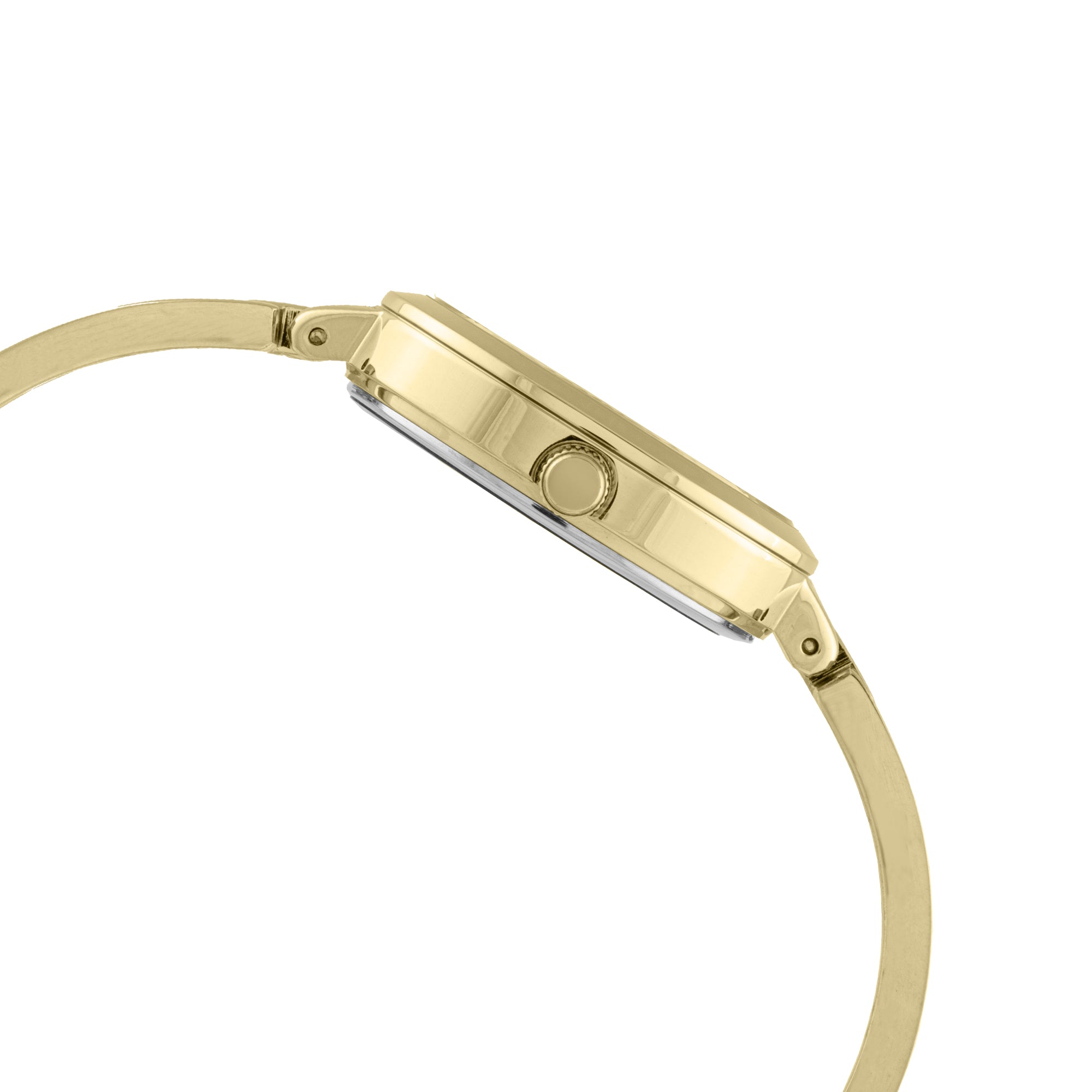 ELIZ ES8830L2GRG Metal Case and Bracelet 3-Hands Women's Watch