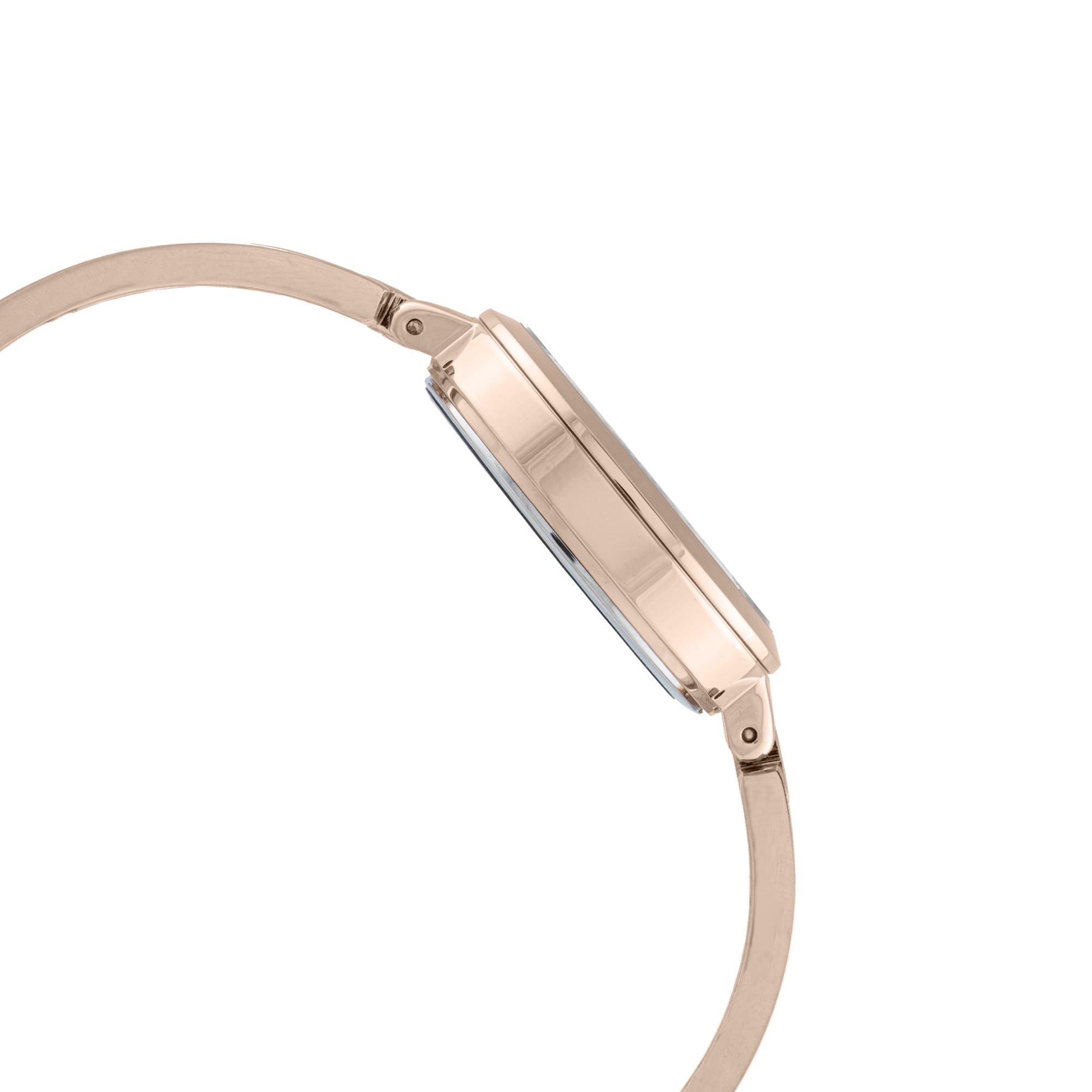 ELIZ ES8830L2RSR Metal Case and Bracelet 3-Hands Women's Watch