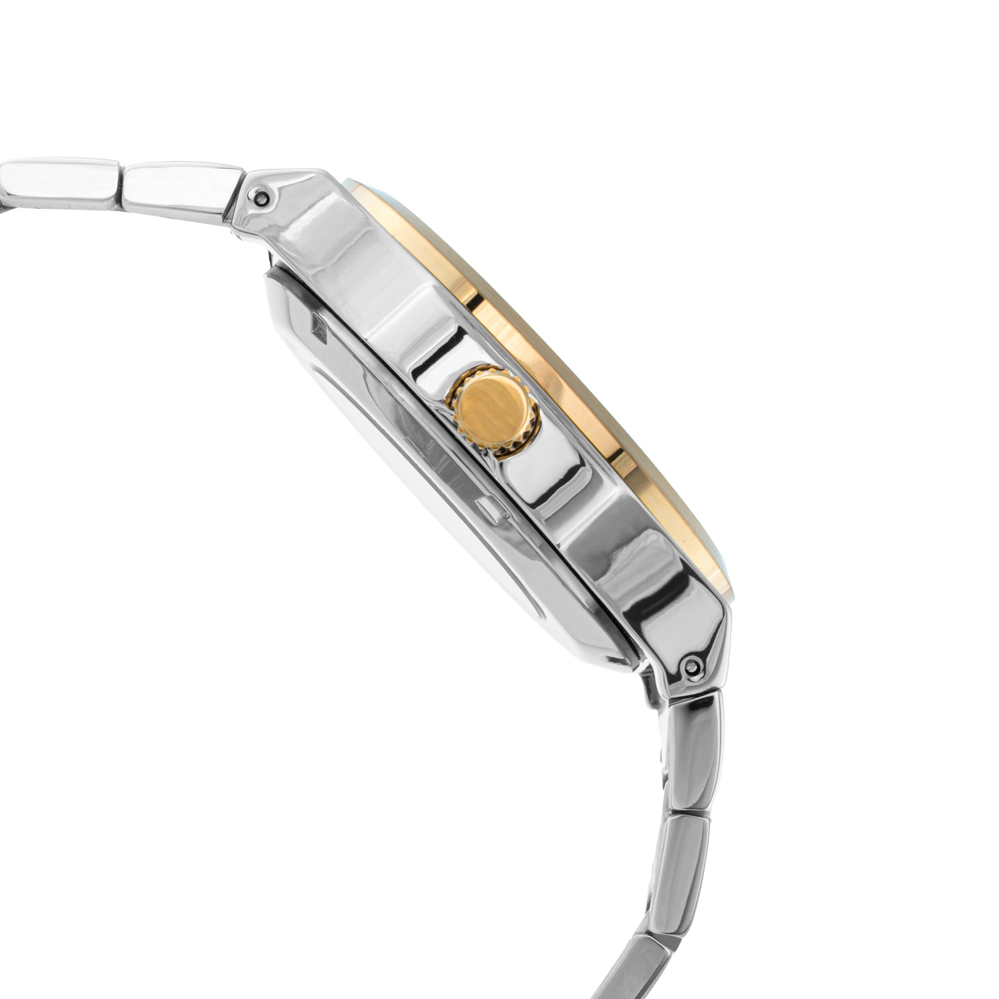 ELIZ ES8875G2TST SS Caseback & Band Automatic Men's Watch