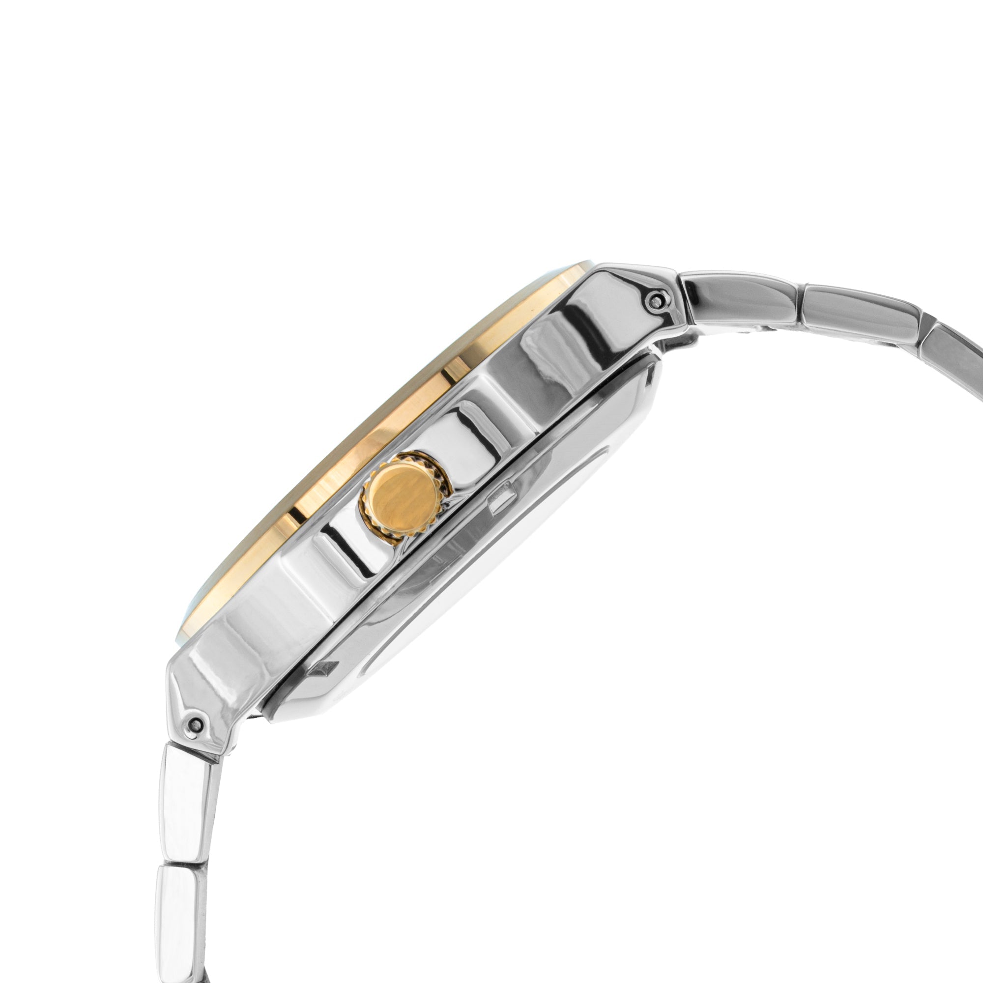 ELIZ ES8875G2TST SS Caseback & Band Automatic Men's Watch