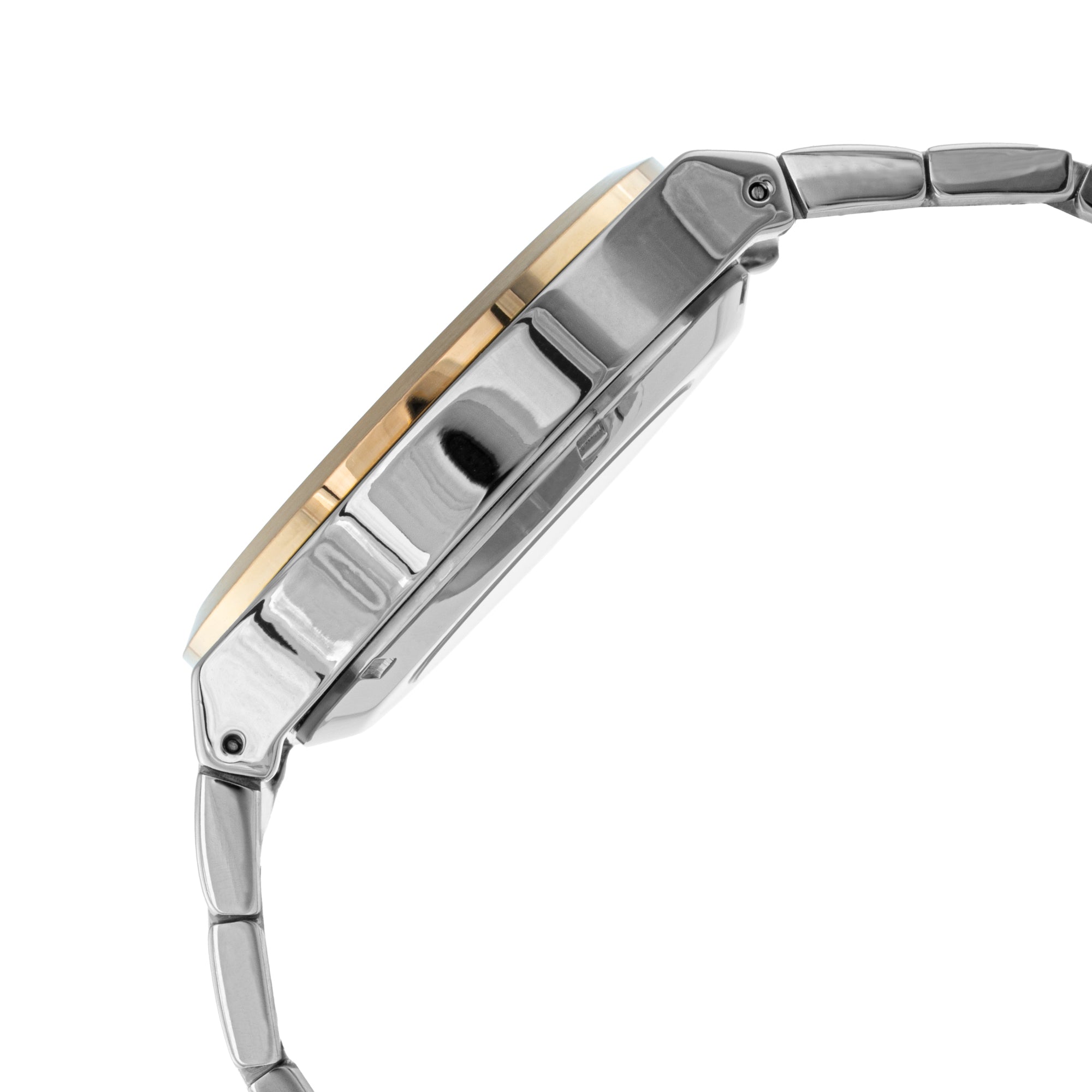 ELIZ ES8875G2TST SS Caseback & Band Automatic Men's Watch