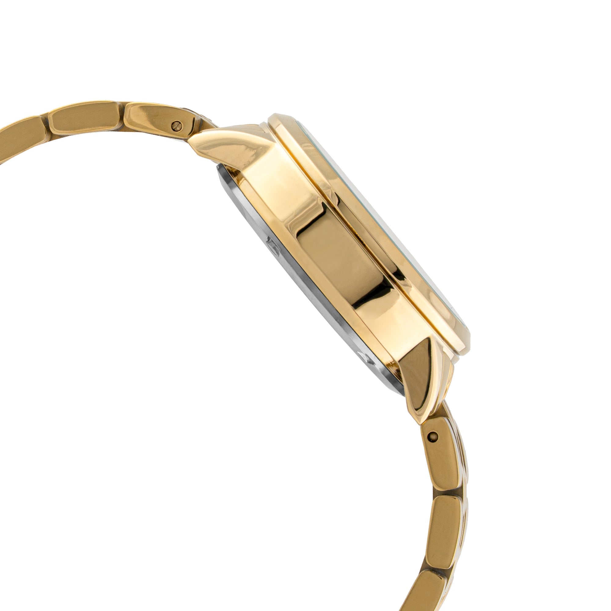 ELIZ ES8882L2GNG SS Caseback & Band Chronograph Women's Watch