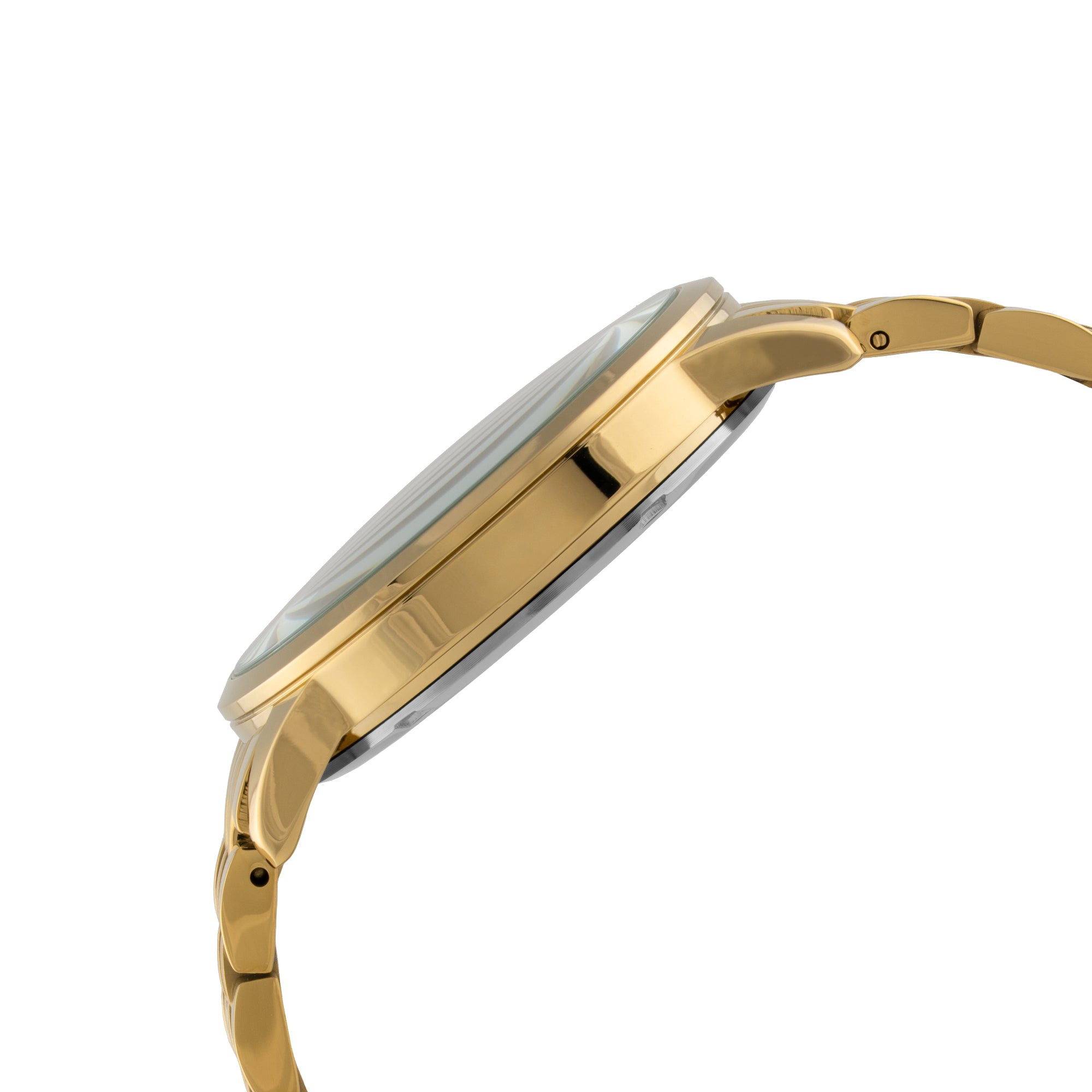 ELIZ ES8883G2GCG SS Caseback & Band Calendar Men's Watch