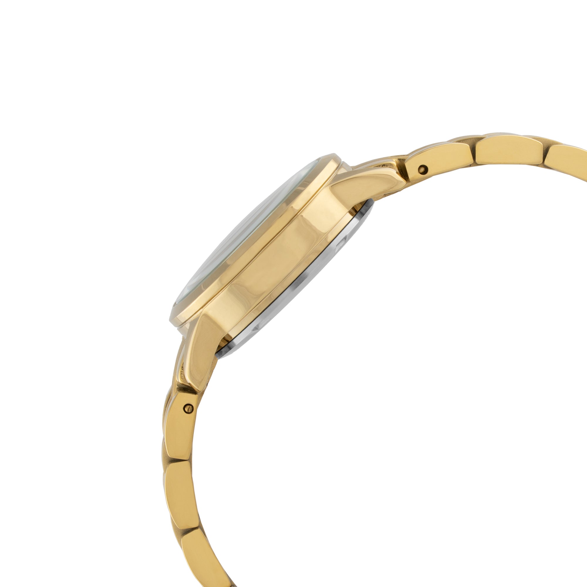 ELIZ ES8883L2GCG SS Caseback & Band Calendar Women's Watch