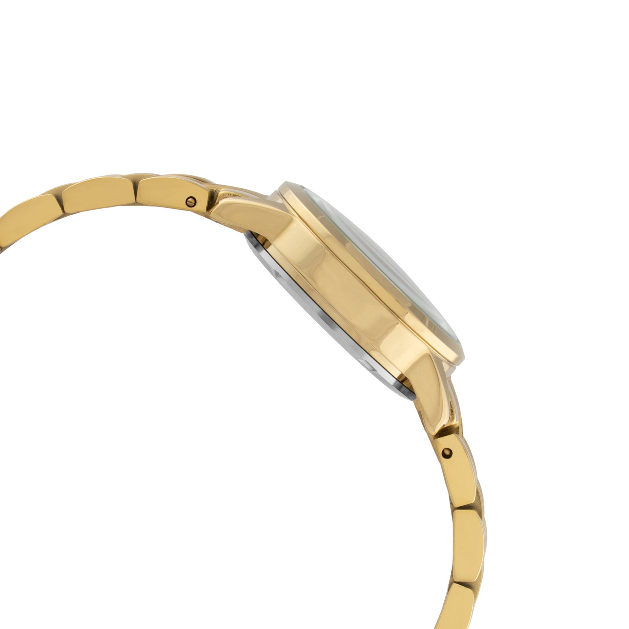 ELIZ Β ES8883L2GCG SS Caseback & Band Calendar Women's Watch