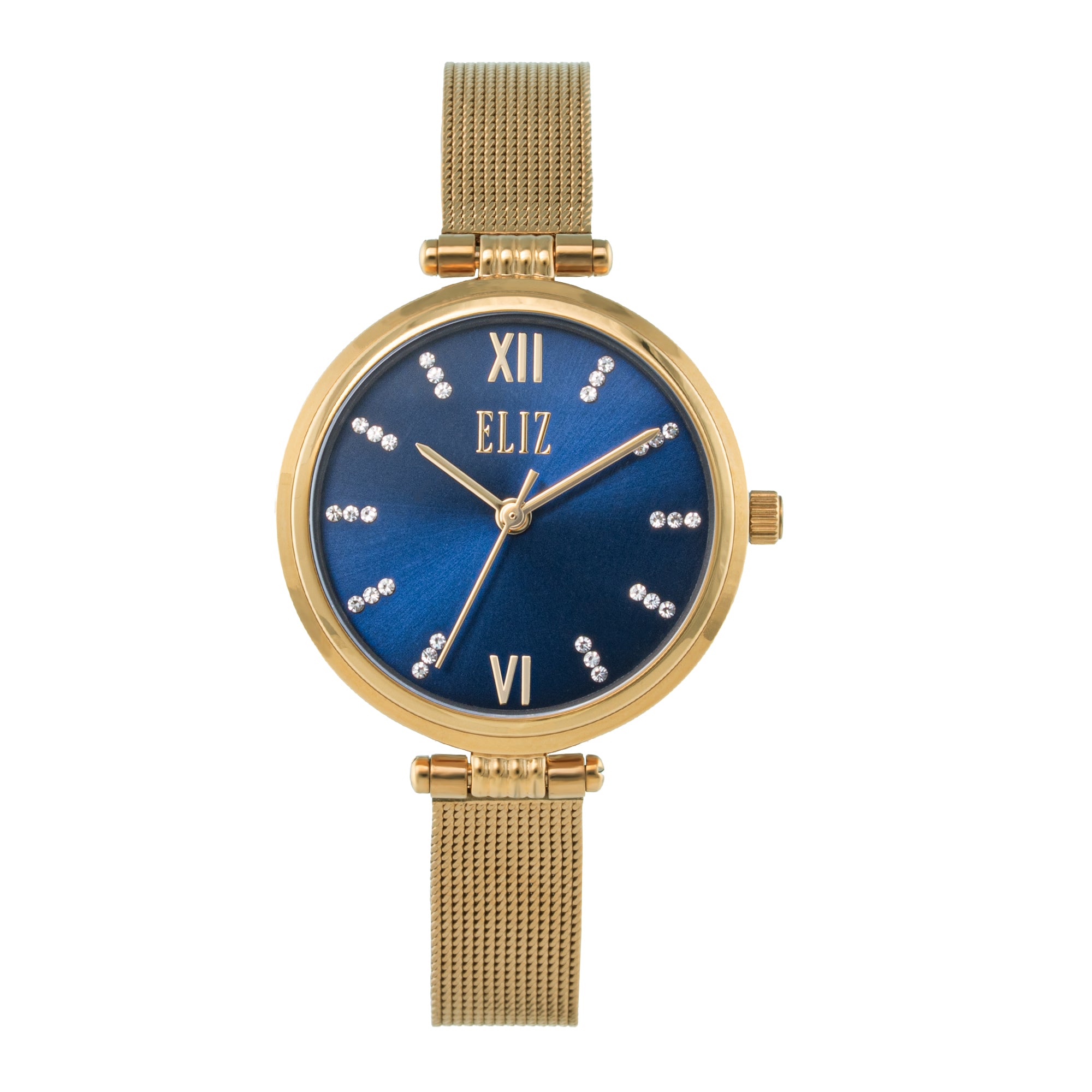 ELIZ ES8906L2GBG SS Case & Mesh Strap 3-Hands Women's Watch
