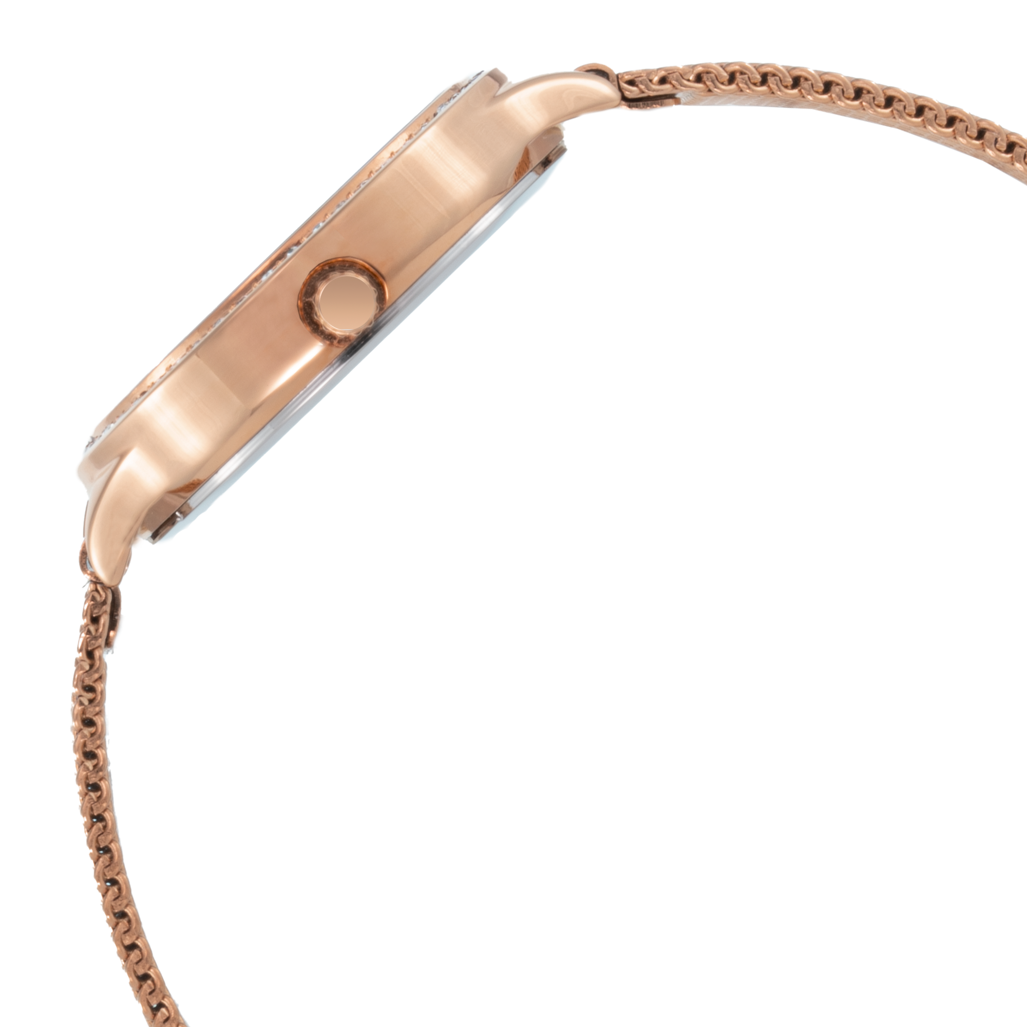 ELIZ ES8916L2RBR SS Caseback & Mesh Strap 3-Hands Women's Watch