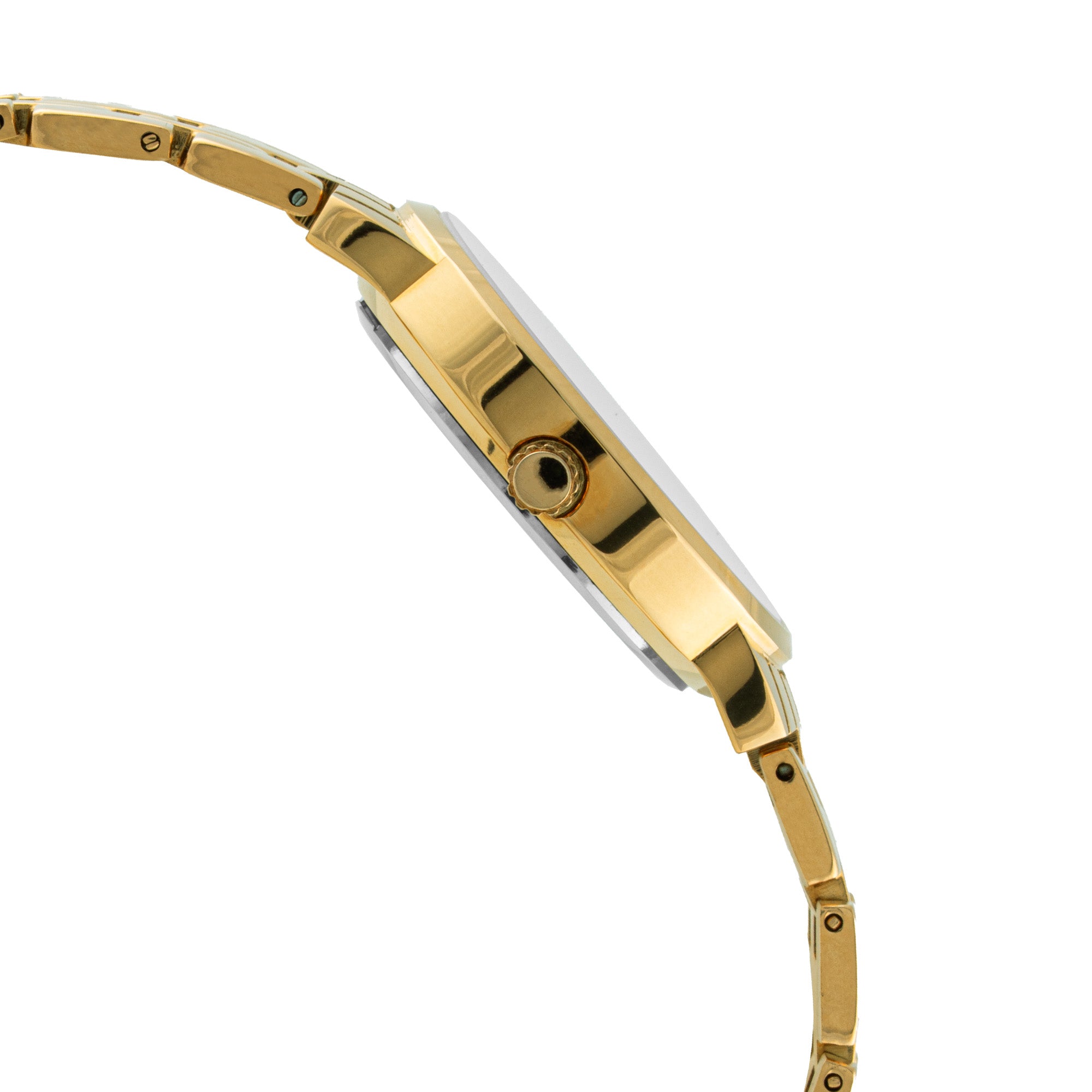 ELIZ ES8919L2GCG Metal Case and Bracelet 3-Hands Women's Watch