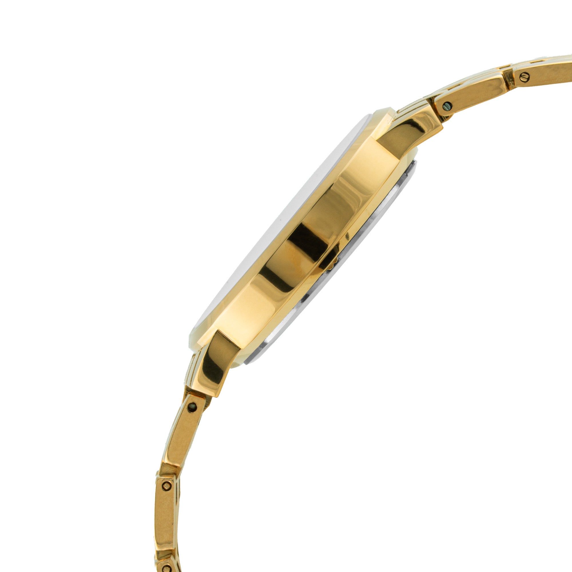 ELIZ ES8919L2GCG Metal Case and Bracelet 3-Hands Women's Watch