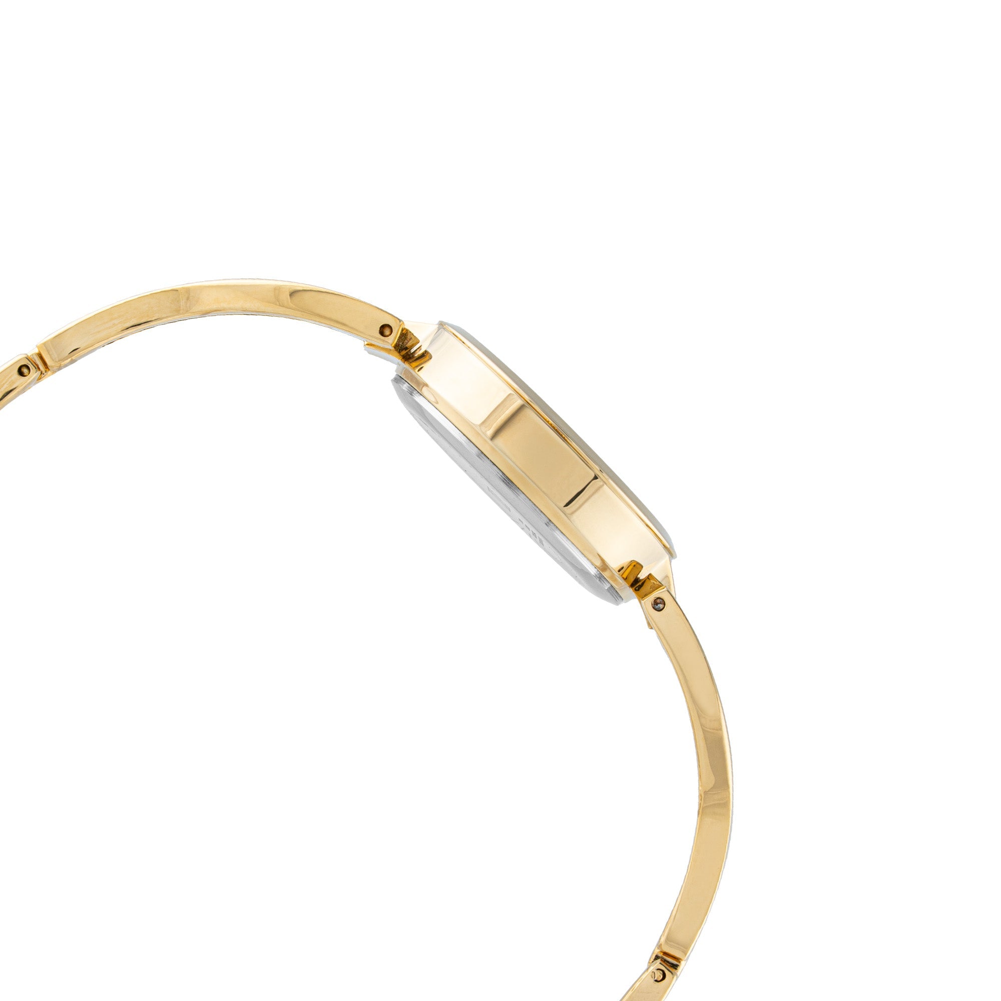 ELIZ ES8936L2GCG METAL CASE AND BRACELET THREE-HANDS WOMEN'S WATCH