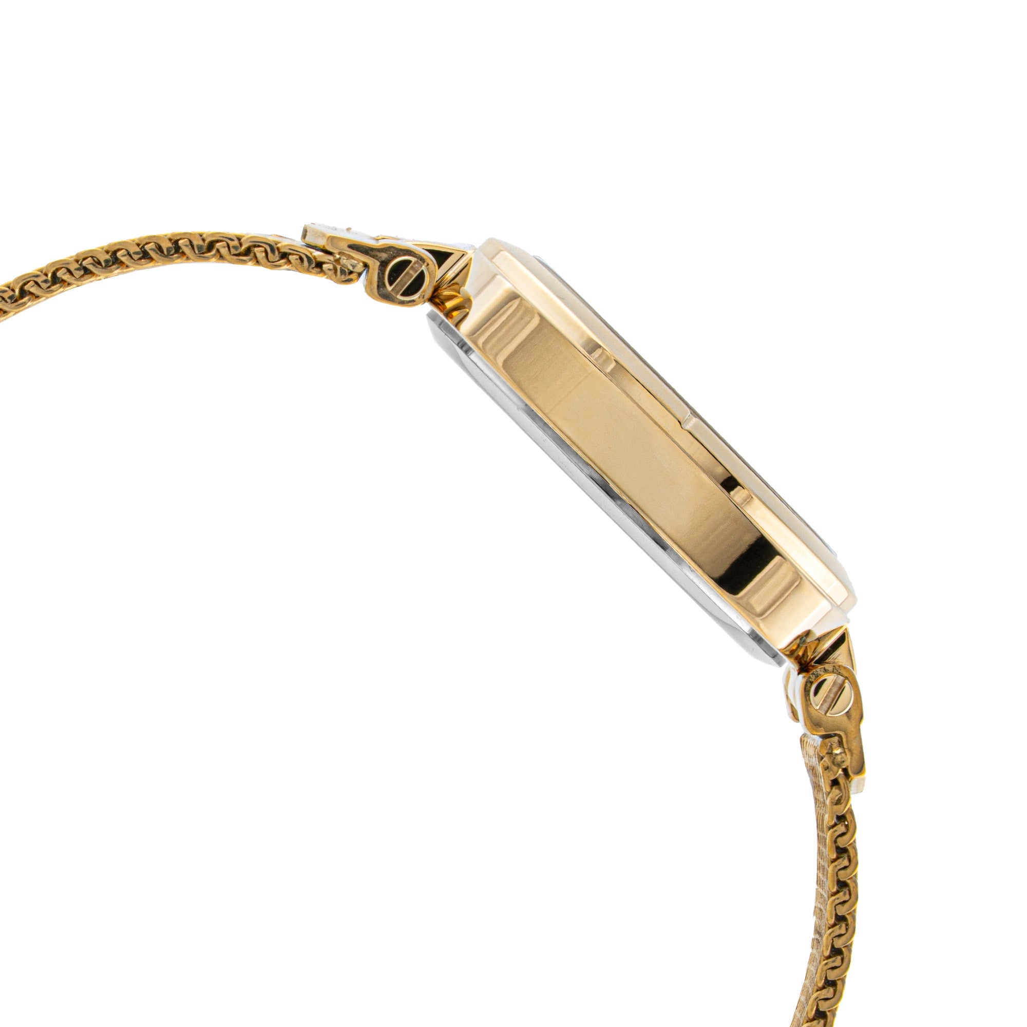 ELIZ ES8947L2GCG SS Case & Mesh Strap Three-hands Women's Watch