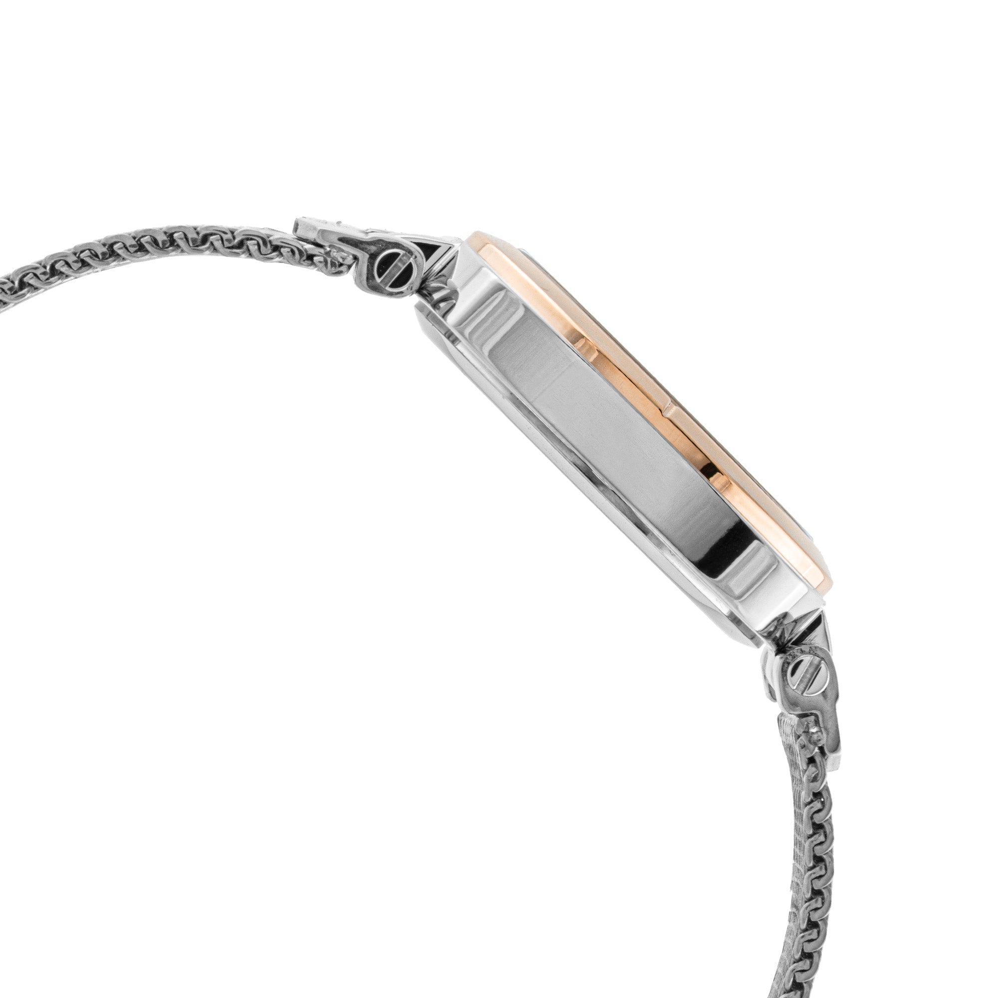 ELIZ ES8947L2UBS SS Case & Mesh Strap Three-hands Women's Watch