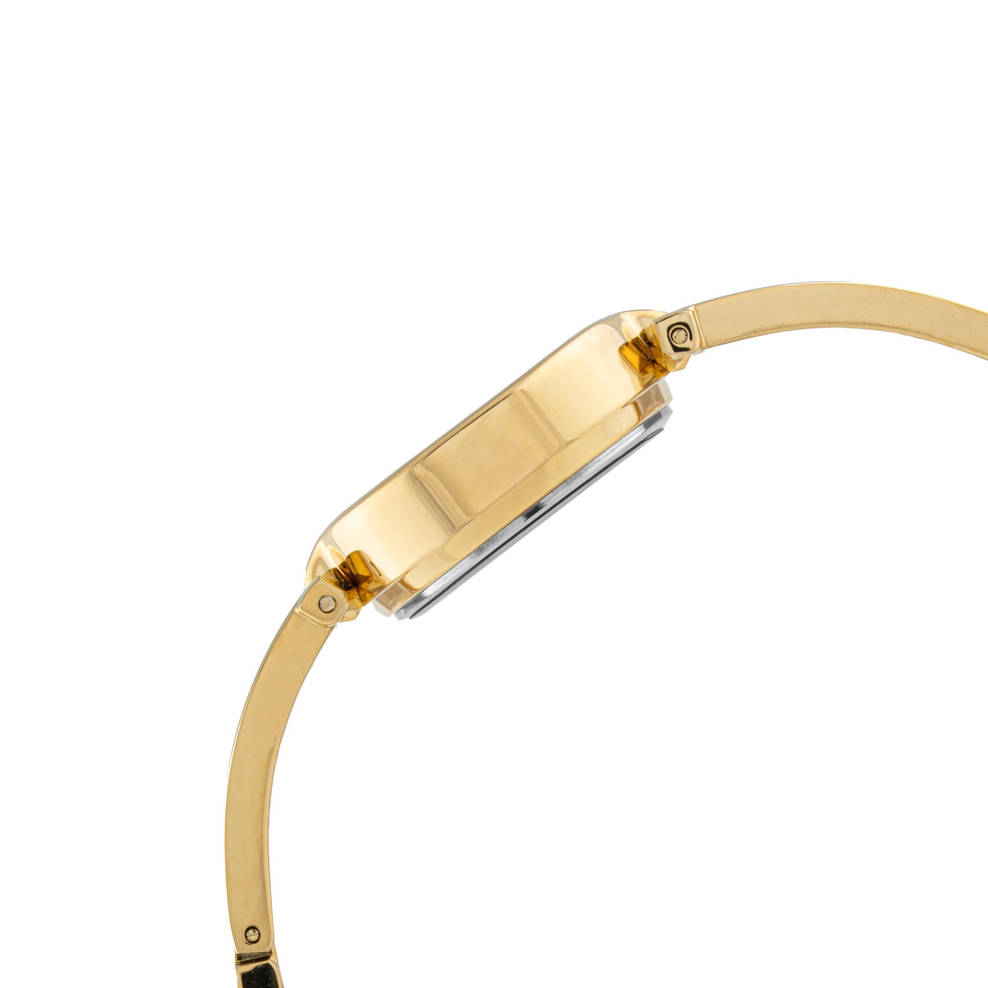 ELIZ ES8951L2GNG Metal Case and Bracelet 3-Hands Women's Watch