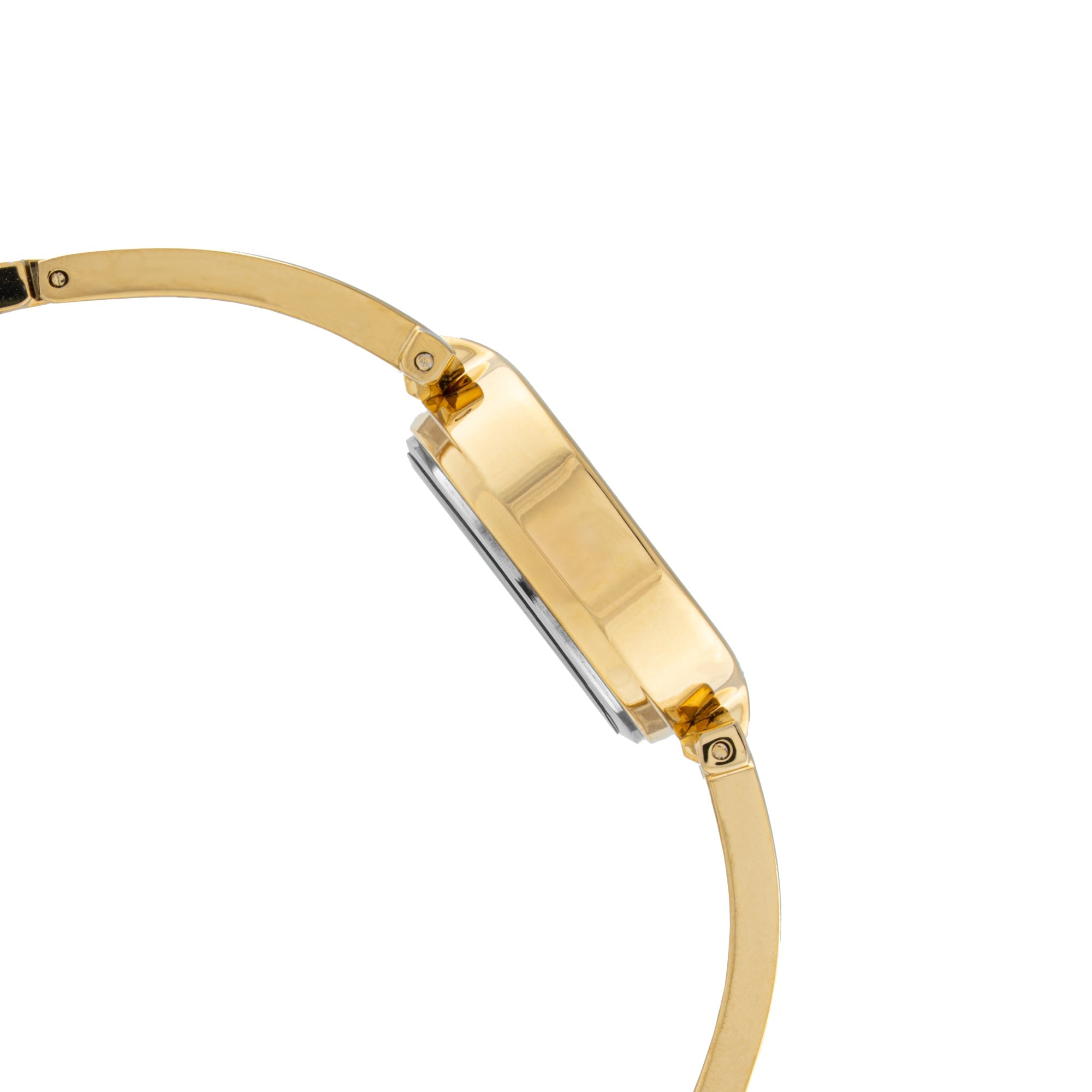 ELIZ ES8951L2GNG Metal Case and Bracelet 3-Hands Women's Watch
