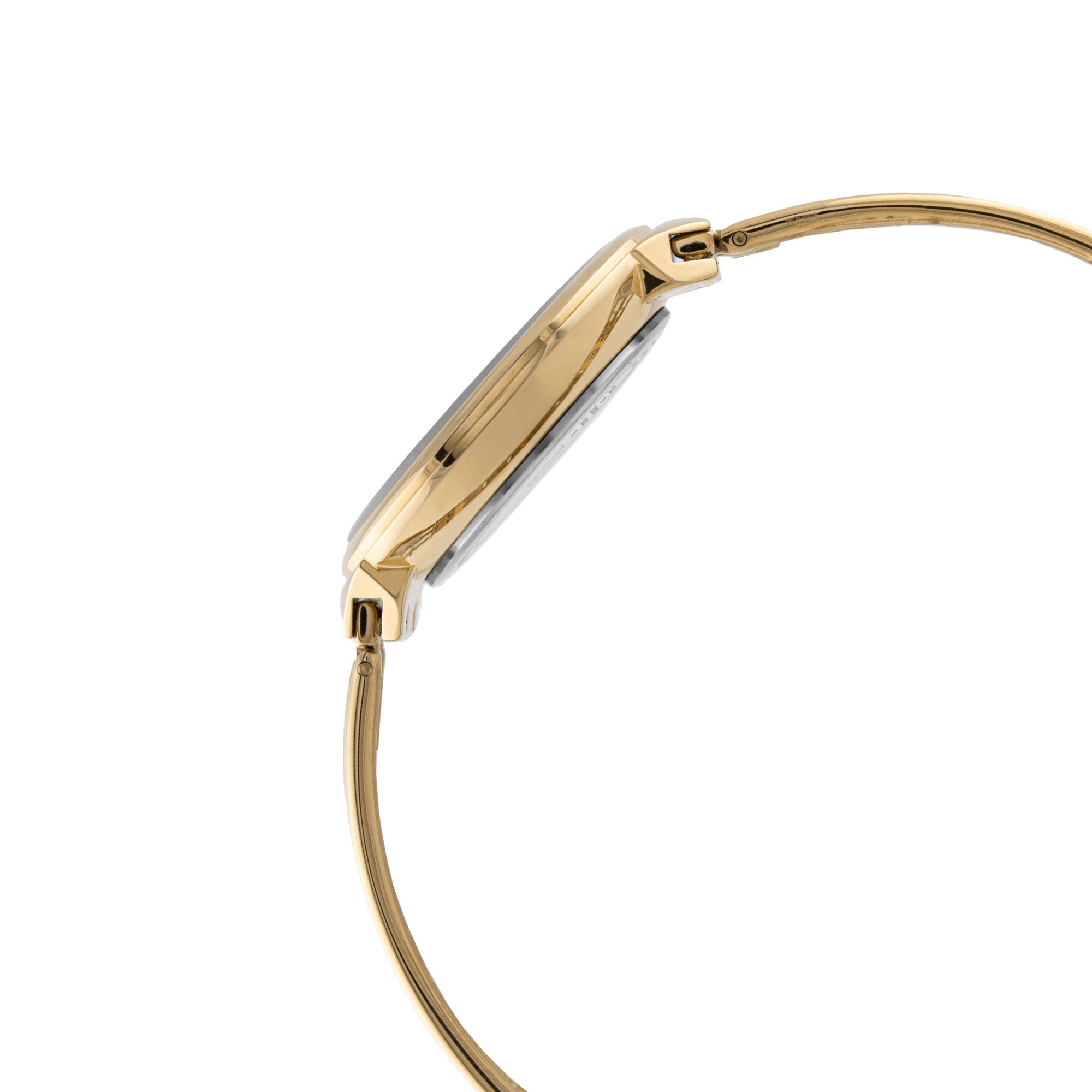 ELIZ ES8962L2GCG SS Case & Band Two-hands Women's Watch