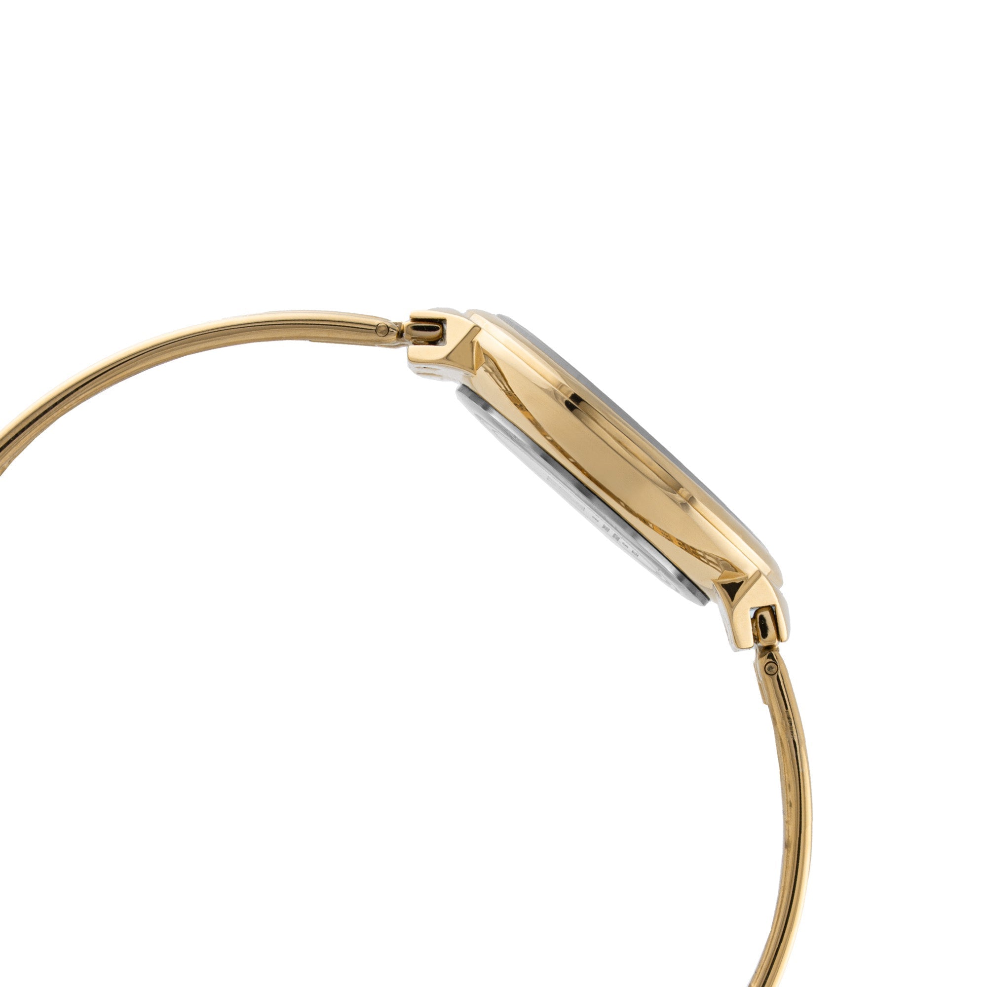 ELIZ ES8962L2GCG SS Case & Band Two-hands Women's Watch