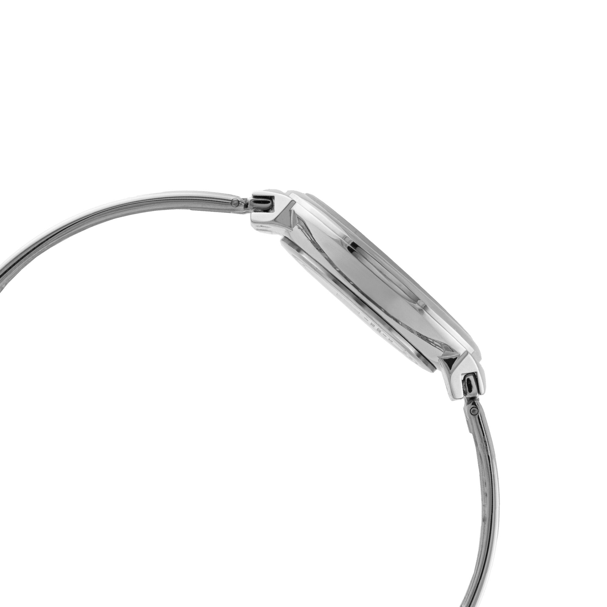 ELIZ ES8962L2SIS SS Case & Band Two-hands Women's Watch