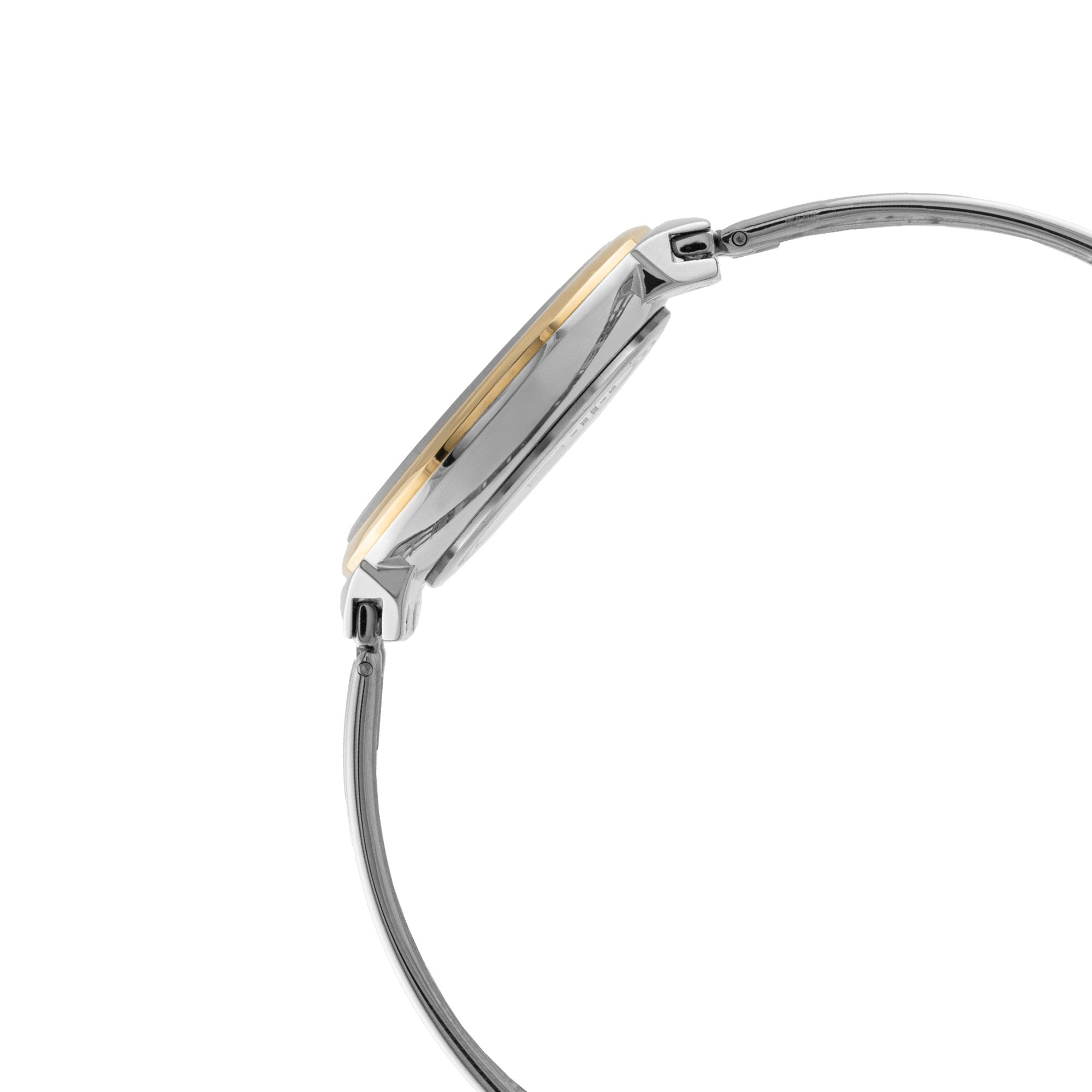 ELIZ ES8962L2TST SS Case & Band Two-hands Women's Watch