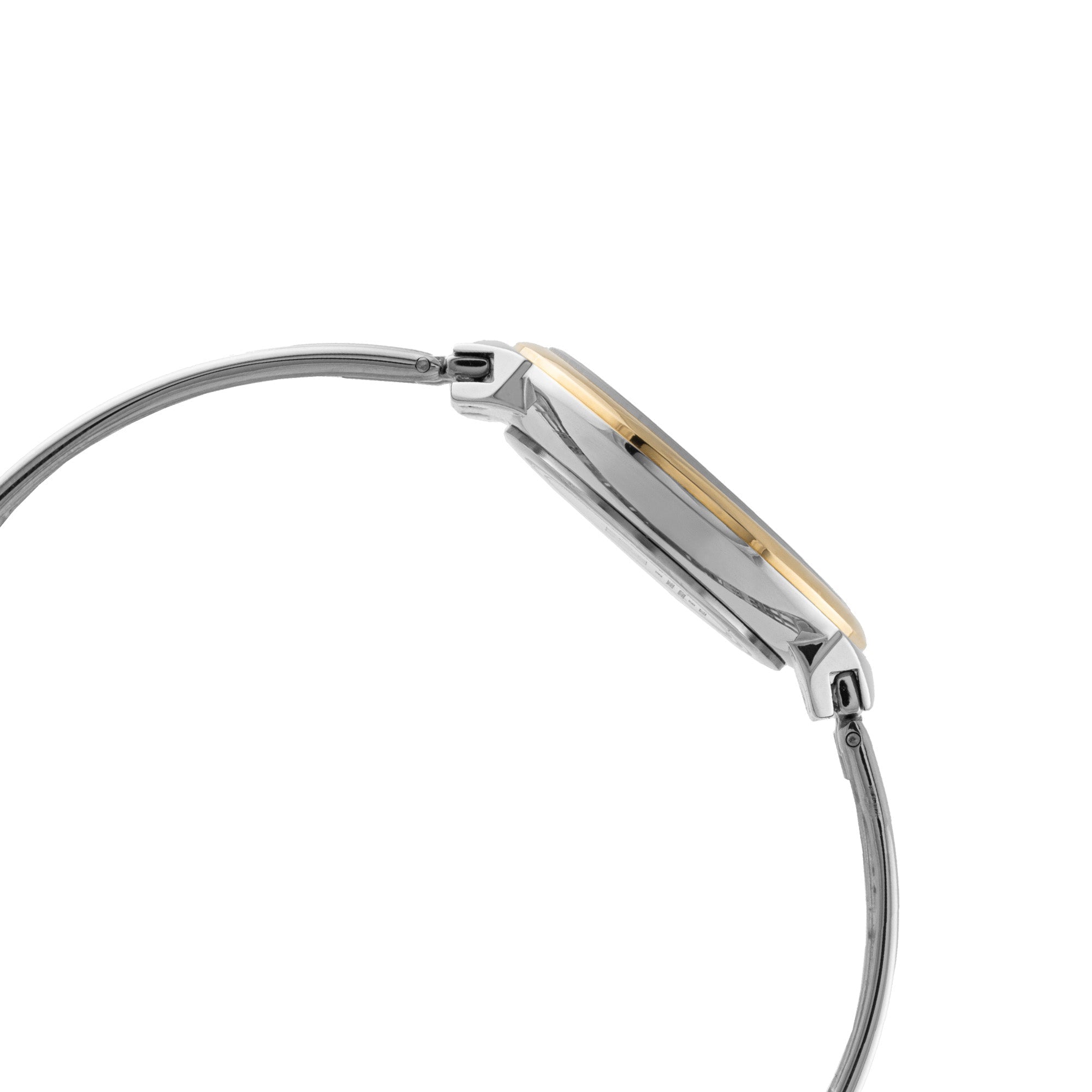 ELIZ ES8962L2TST SS Case & Band Two-hands Women's Watch