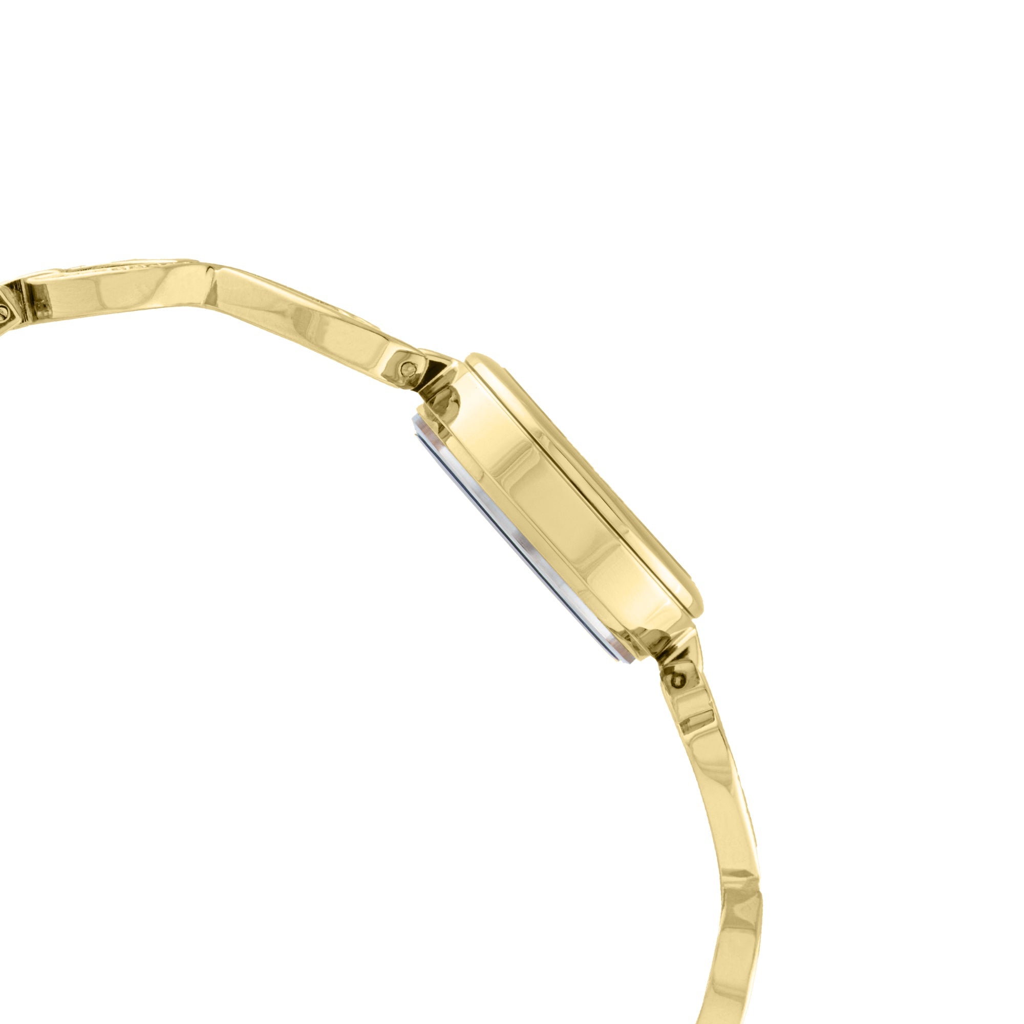 ELIZ ES8967L2GHG Metal Case and Bracelet 3-Hands Women's Watch