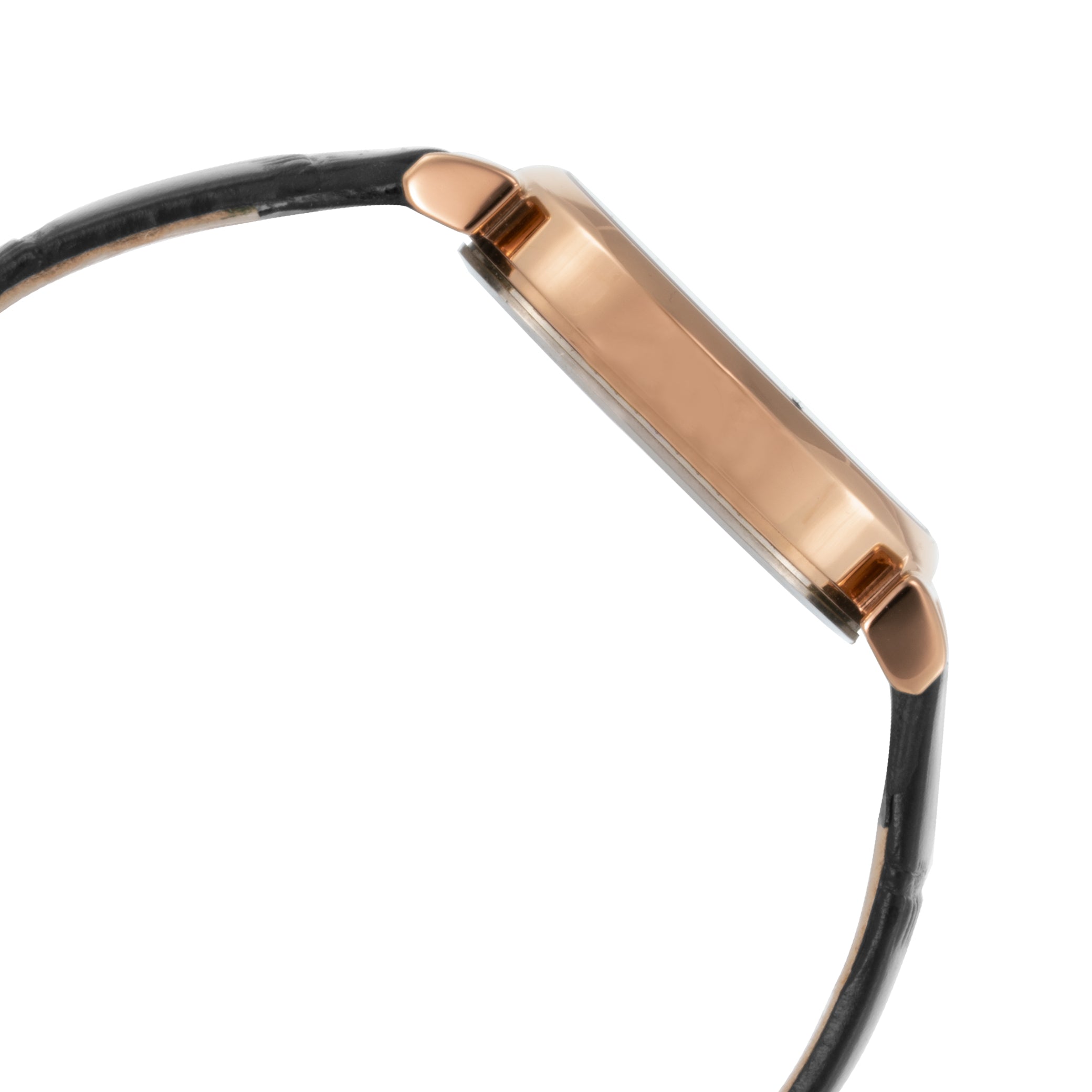 ELIZ ES8910L1RGG SS Caseback & Leather 2-Hands Women's Watch