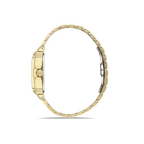 Ferro F11448AWT-B Steel Case And Steel Band Men's Watch