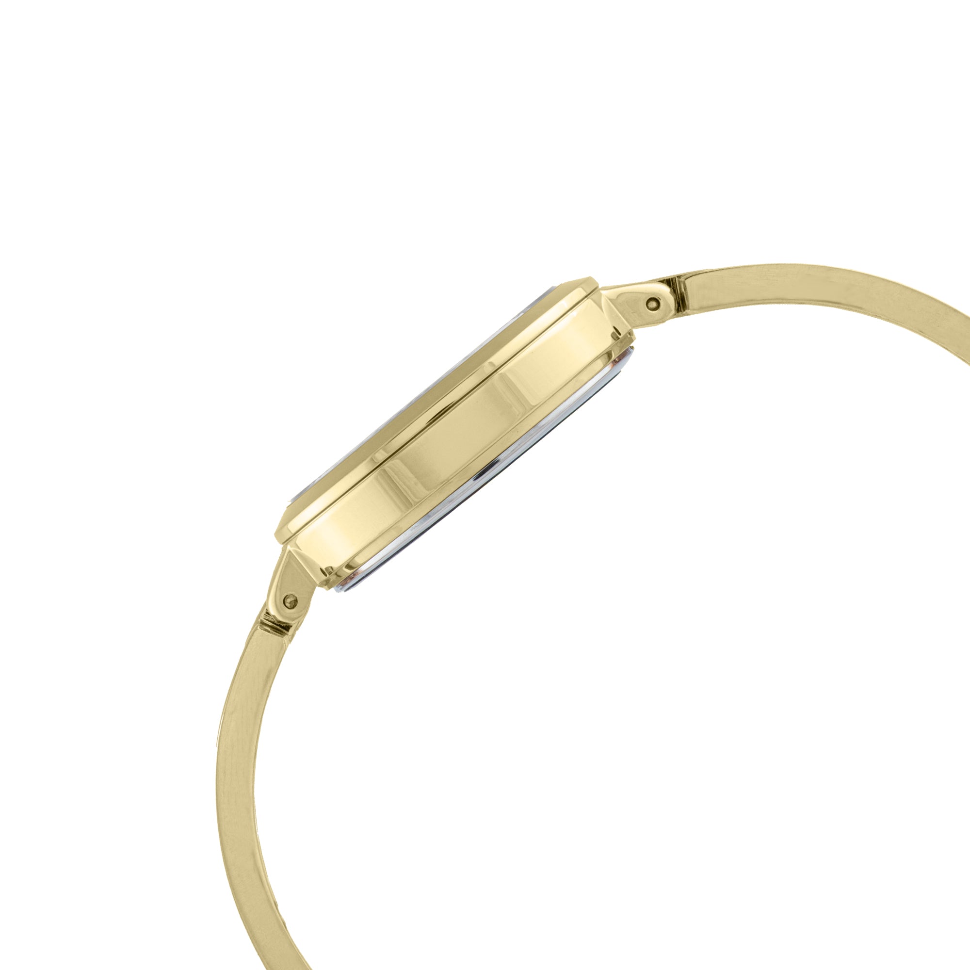 ELIZ ES8830L2GRG Metal Case and Bracelet 3-Hands Women's Watch