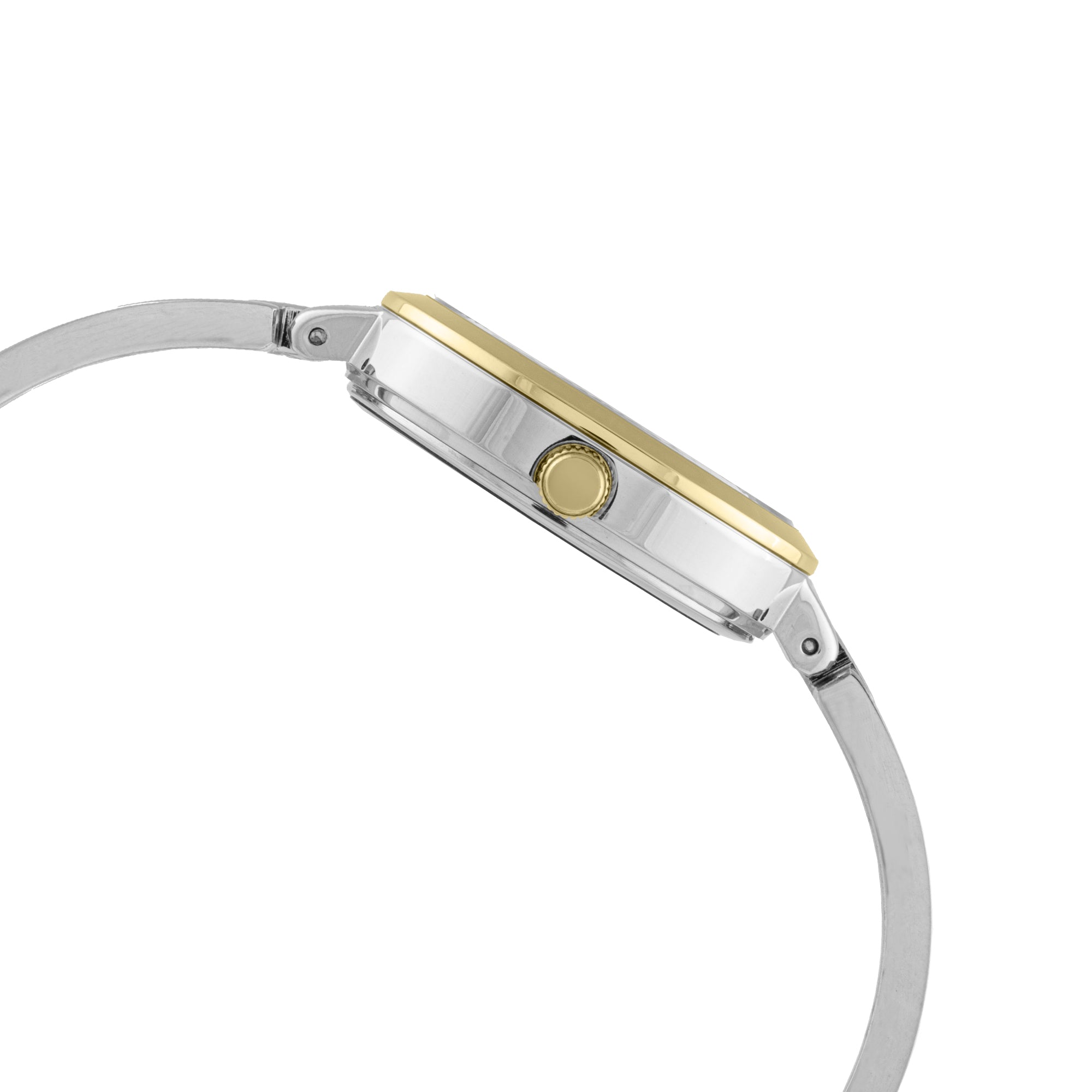 ELIZ ES8830L2TET Metal Case and Bracelet 3-Hands Women's Watch