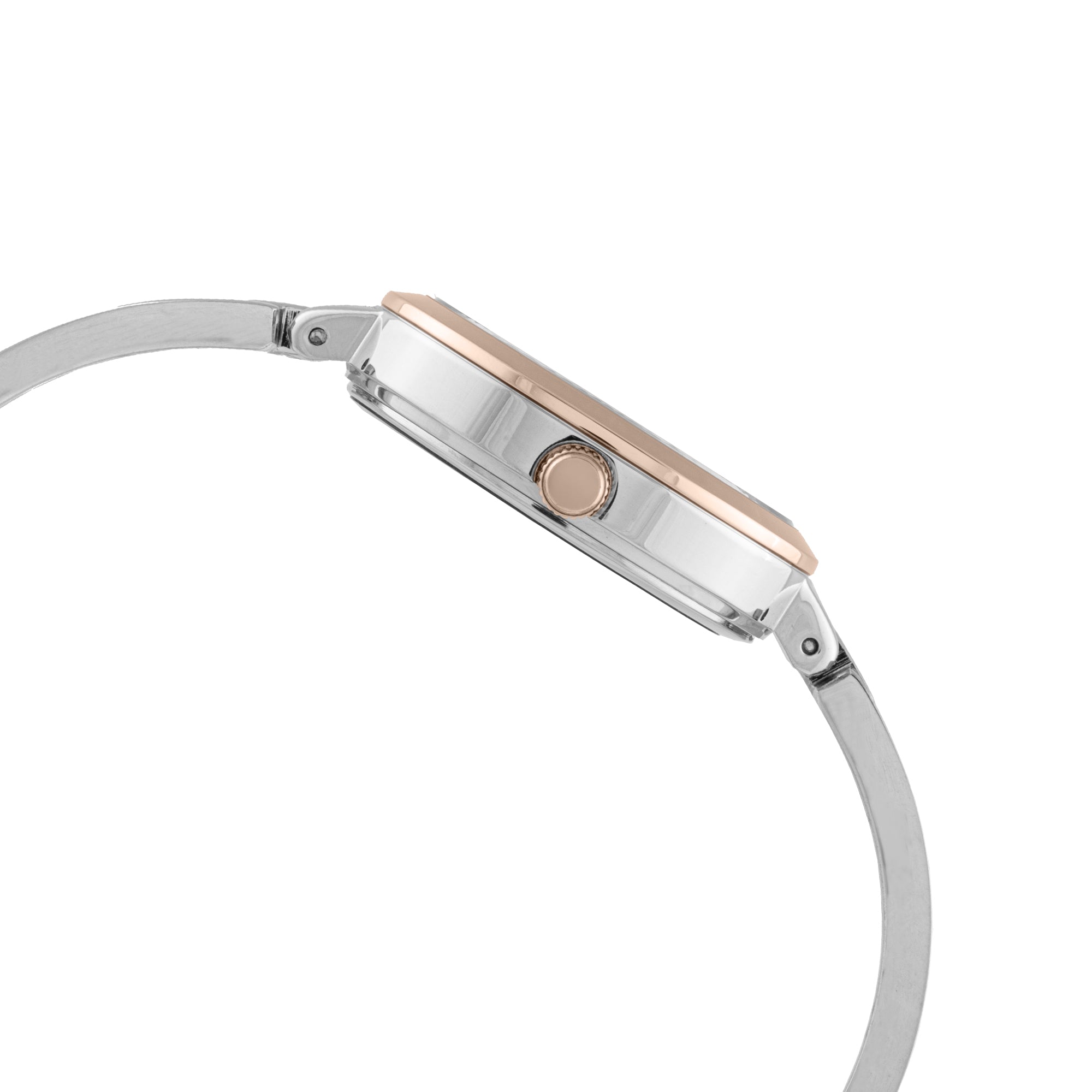 ELIZ ES8830L2UGU Metal Case and Bracelet 3-Hands Women's Watch