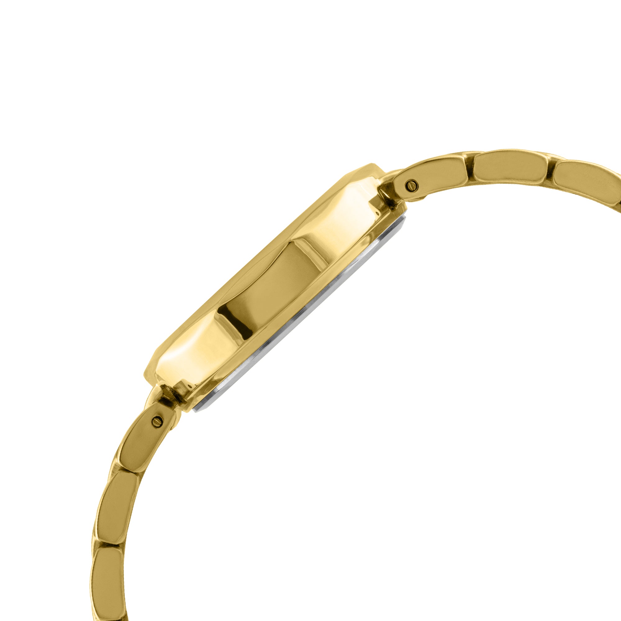 ELIZ  ES8879L2GSG SS Caseback & Band Three-hands Women's Watch