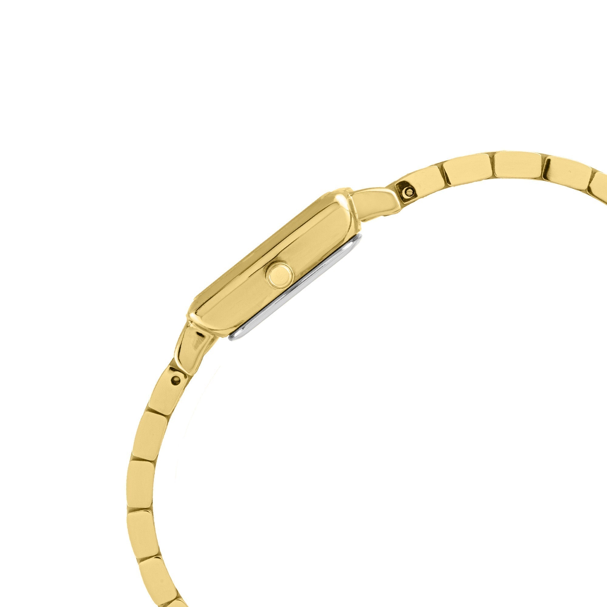ELIZ ES8880L2GEG SS Caseback & Band Calendar  Women's Watch