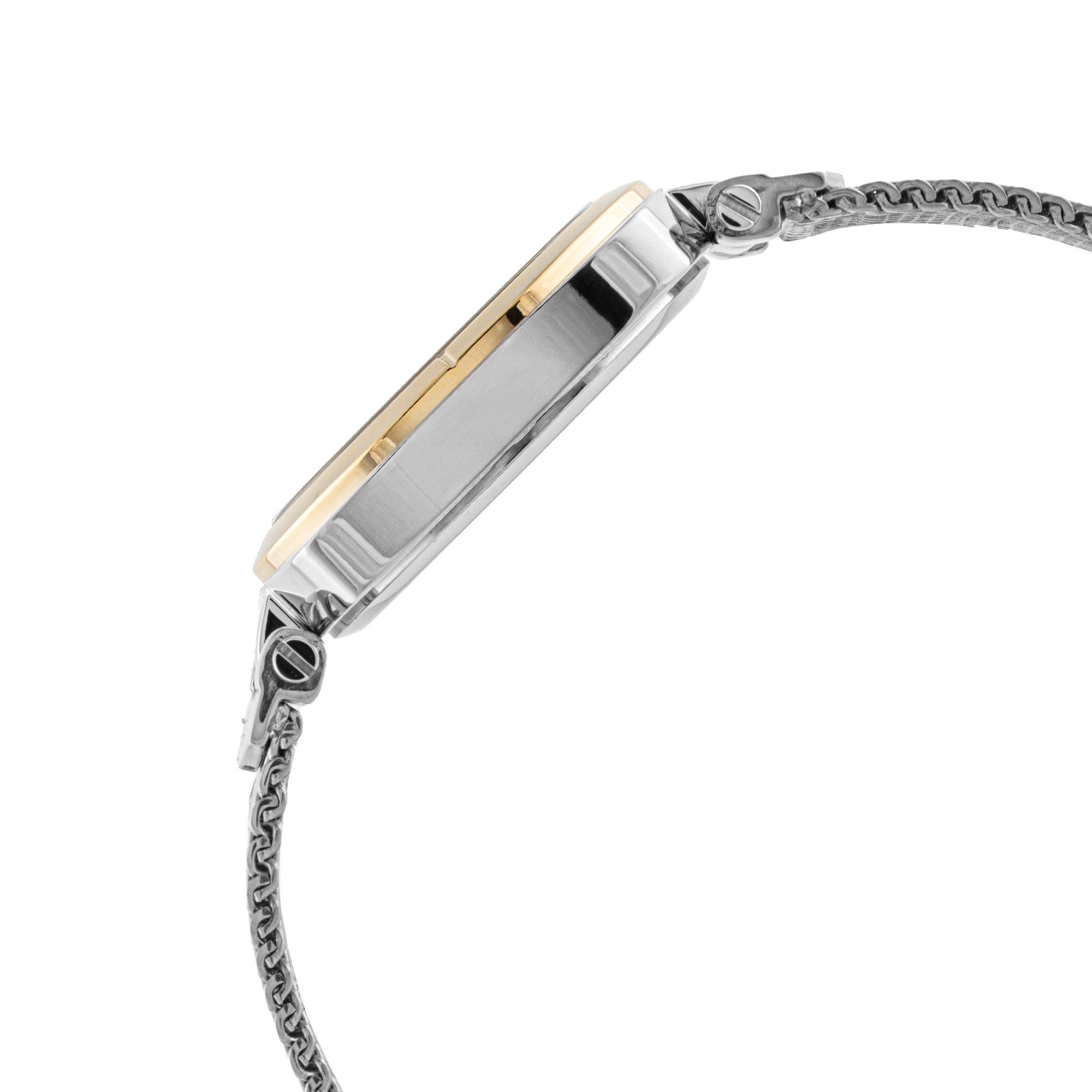 ELIZ ES8947L2TSS SS Case & Mesh Strap Three-hands Women's Watch