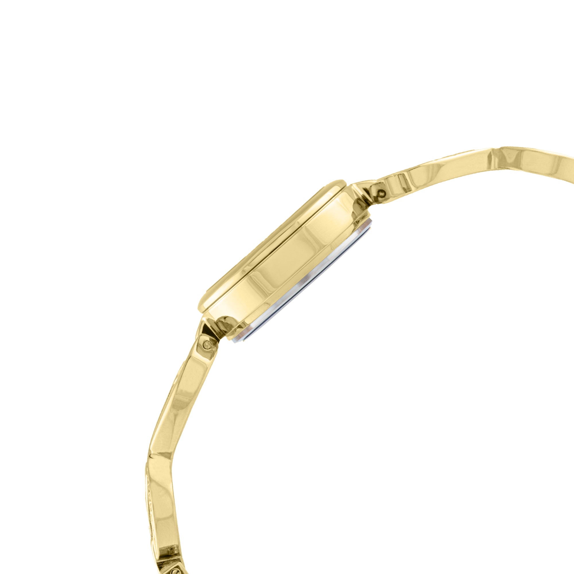 ELIZ ES8967L2GHG Metal Case and Bracelet 3-Hands Women's Watch
