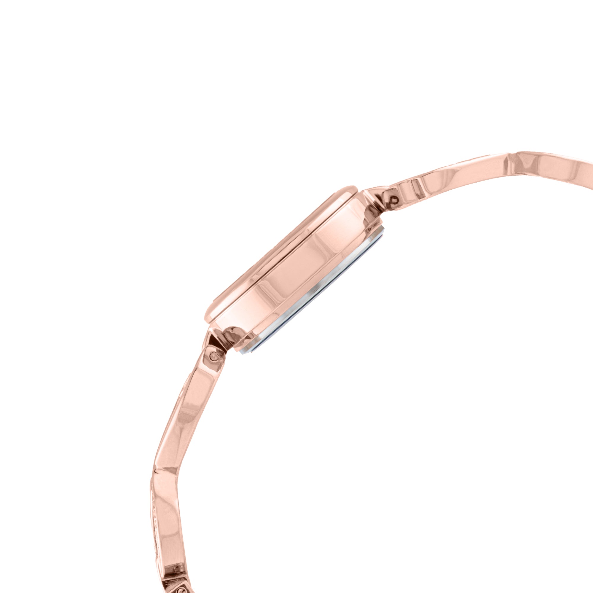 ELIZ ES8967L2RPR Metal Case and Bracelet 3-Hands Women's Watch