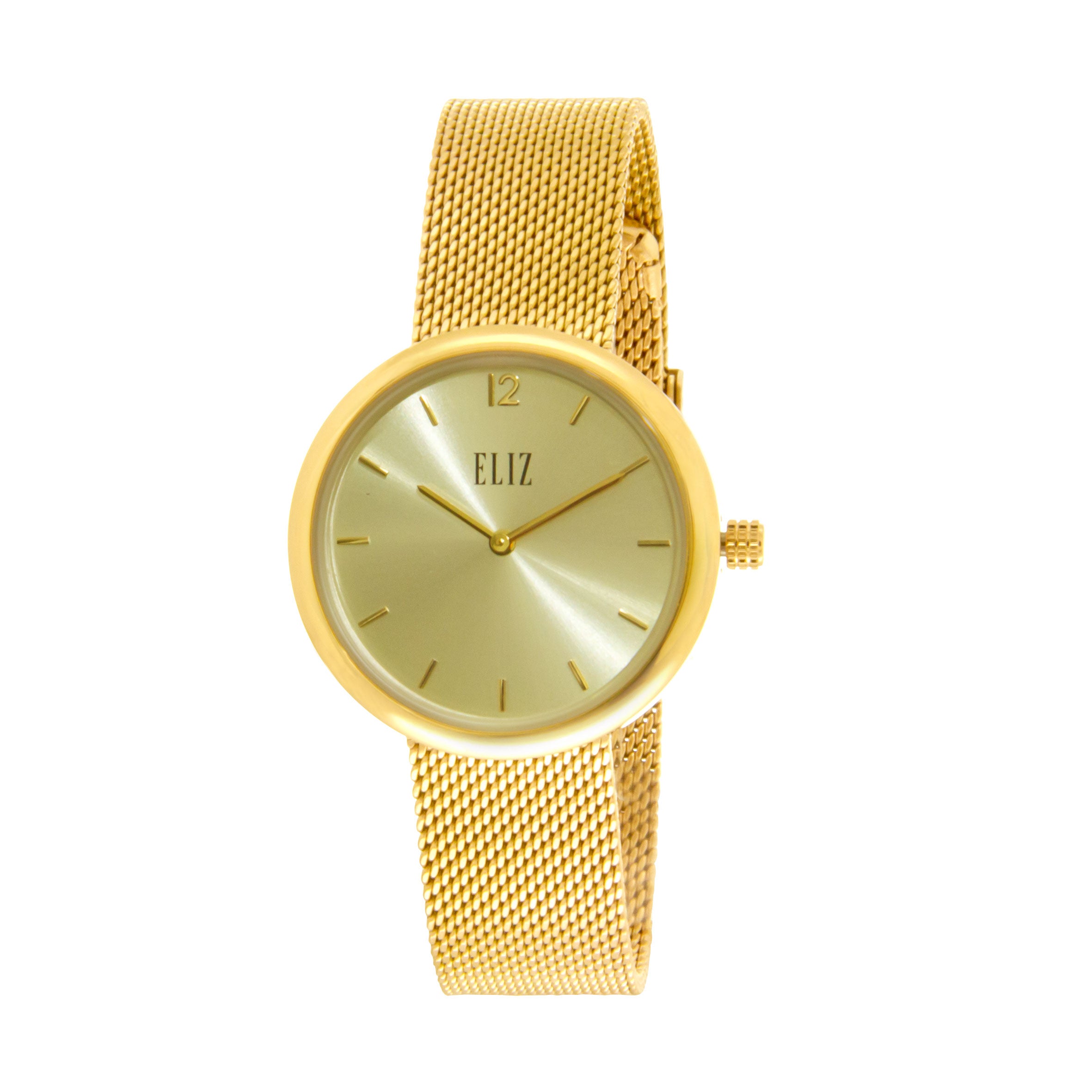 ELIZ ES8713L2GCG PVD Gold Case SS Mesh Strap Women's Watch