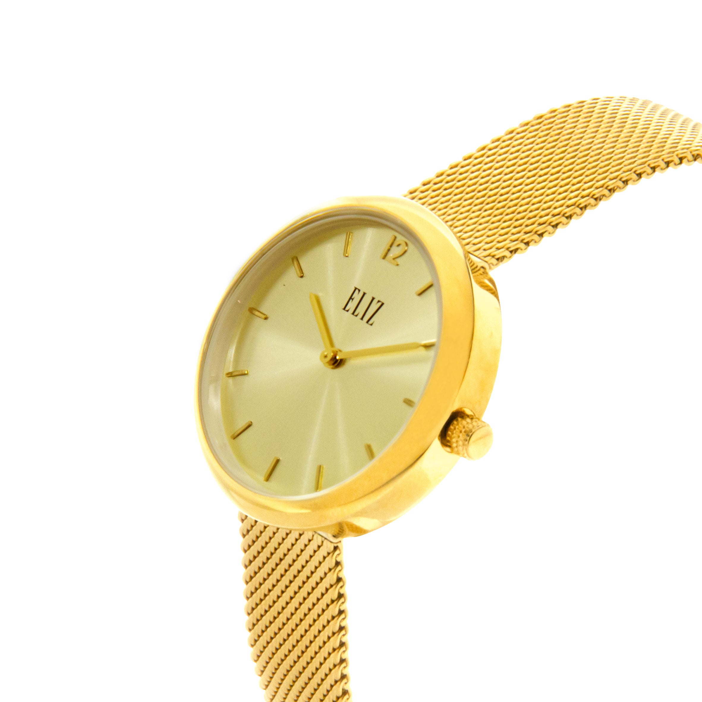 ELIZ ES8713L2GCG PVD Gold Case SS Mesh Strap Women's Watch